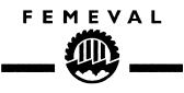 Logotipo Femeval